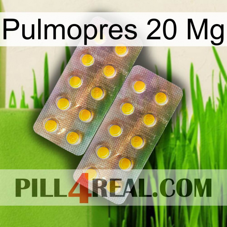Pulmopres 20Mg new10